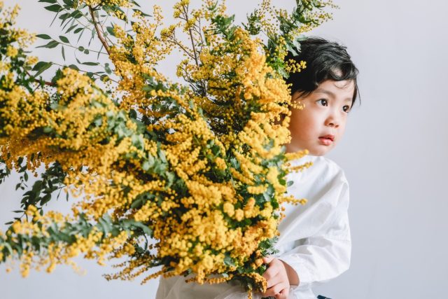 ミモザとこども