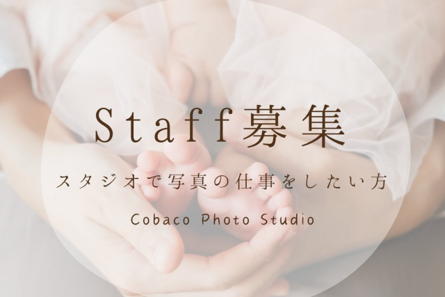 スタッフ募集