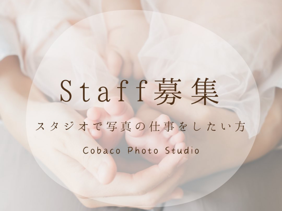 スタッフ募集